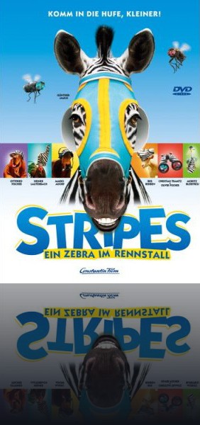 Stripes - Ein Zebra im Rennstall